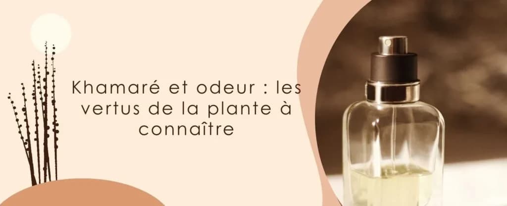 Khamaré et odeur : les vertus de la plante à connaître
