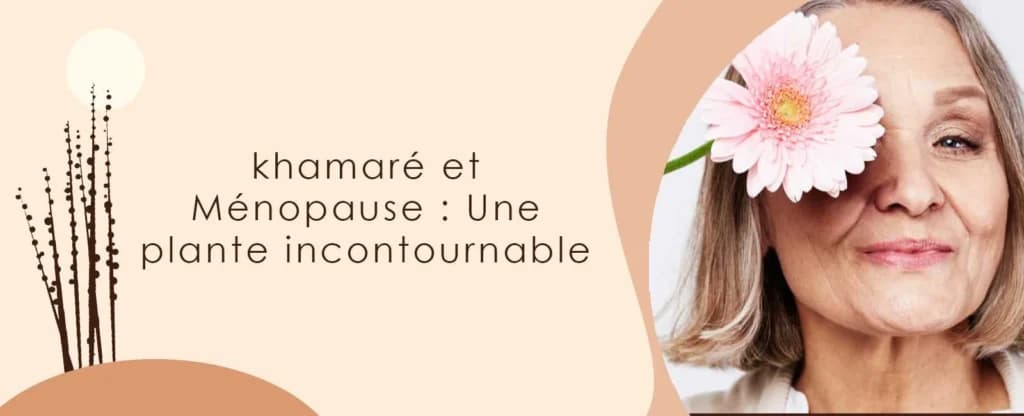 Khamaré et Ménopause : une plante incontournable