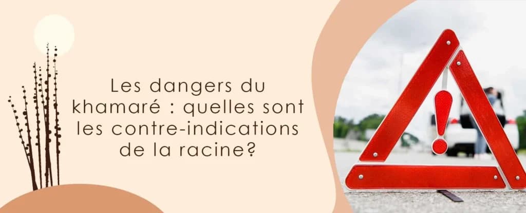 Les dangers du khamaré : quelles sont les contre-indications de la racine