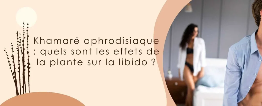 Khamaré aphrodisiaque : quels sont les effets de la plante sur la libido ?