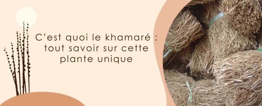 C’est quoi le khamaré : tout savoir sur cette plante unique