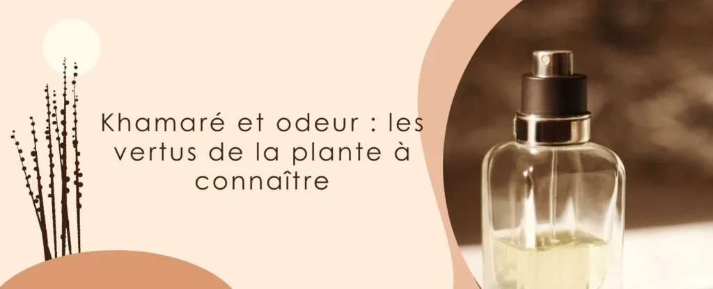 Khamaré et odeur : les vertus de la plante à connaître