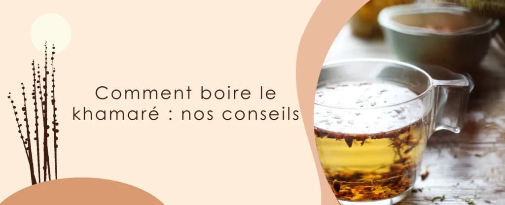Comment boire le khamaré : préparer son infusion