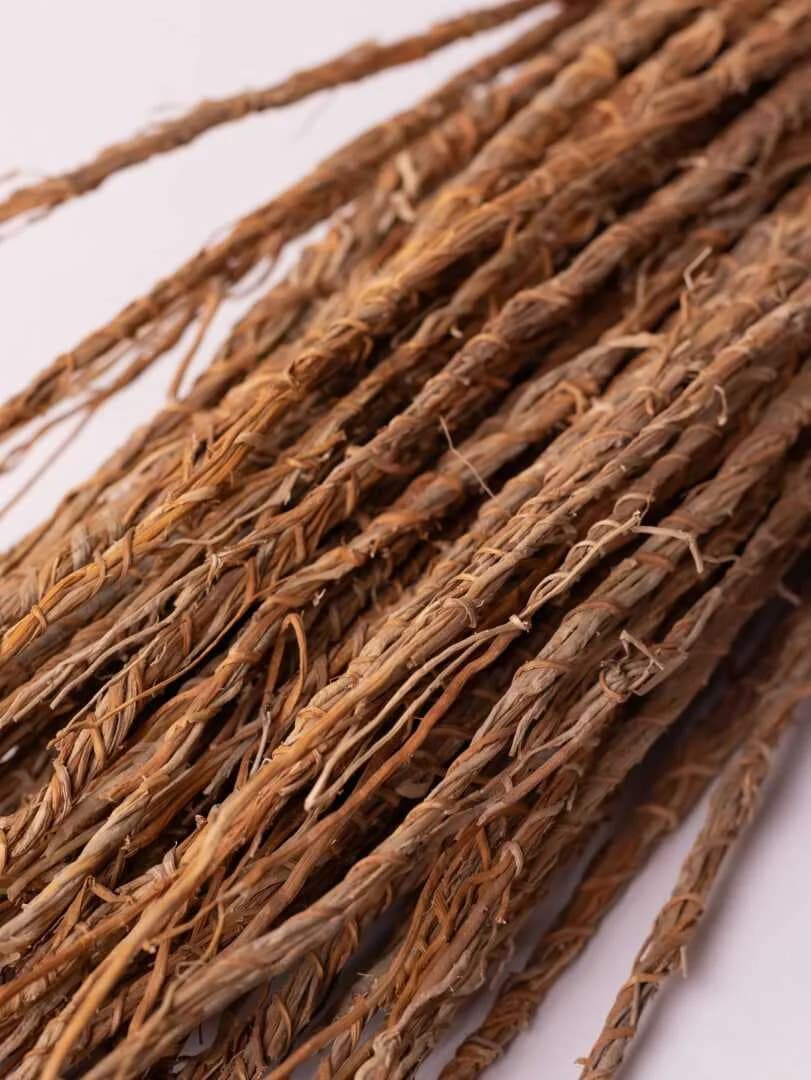 Gros plan sur les racines séchées de khamaré