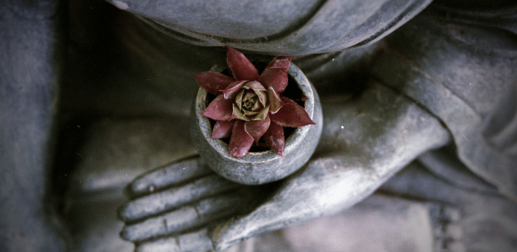 Khamare.fr - Buddha et fleur